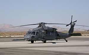 Archivo:Airforce-mh60-26106-071002-fox-01-16