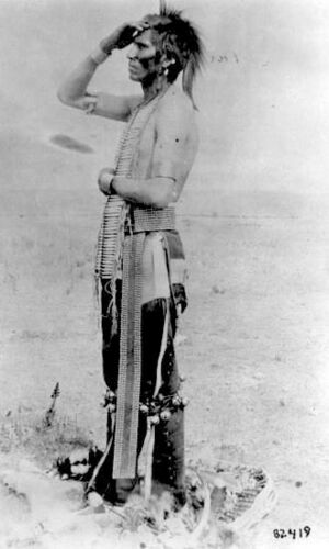 Archivo:Assinniboine Man Montana