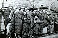 Auschwitz Liberated January 1945