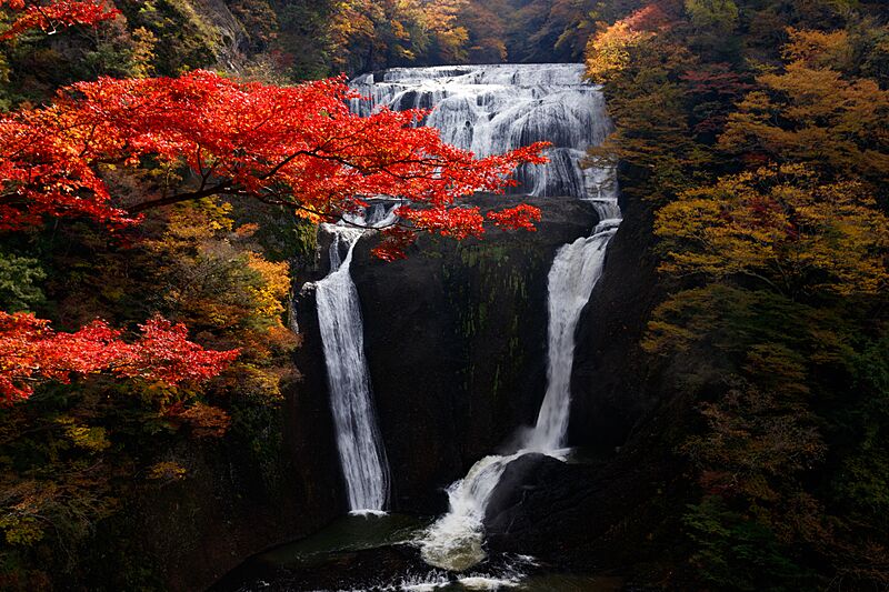 Autumn of Fukuroda Falls, Daigo, Ibaraki; November 2016