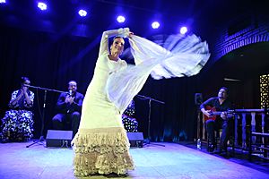 Archivo:Bailaora en La Bodega Flamenca