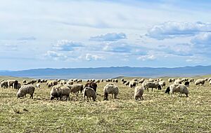 Archivo:Borgoy Steppe6