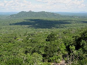 Archivo:Cabo Delgado - forest (5648900308)