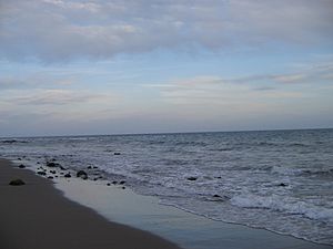 Archivo:Calahonda beach at Calahonda, Spain 2005 1