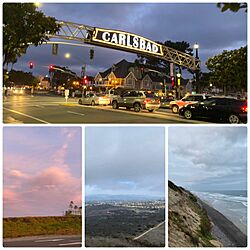 CarlsbadCollage2021.jpg