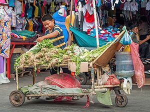 Archivo:Child working selling vegetables in downtown Maracaibo