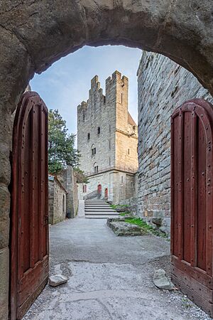 Archivo:Ciudadela, Carcasona, Francia, 2023-01-08, DD 28-30 HDR