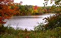 Clarkspond