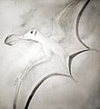 Coloborhynchus fluviferox by Nick Longrich