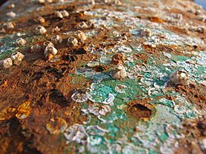 Archivo:Corrosion