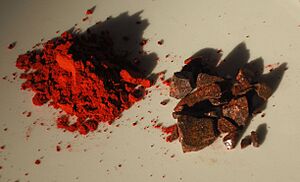 Archivo:Dragon's blood (Daemomorops draco)