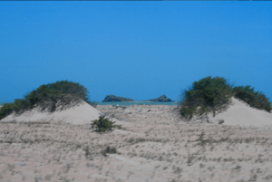 Archivo:Dunas de tapuri parroquia alta guajira municipio guajira zulia venezuela