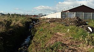Archivo:Escombros y basura en los Llanquihue