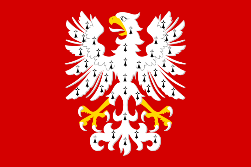 Flag of Somme-Leuze