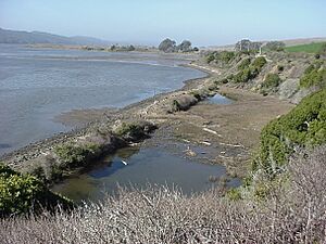 Archivo:Former North Pacific Coast Railroad grade adjacent to Tomales Bay