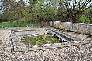 Archivo:Fuente románica de San Pedro del Valle II