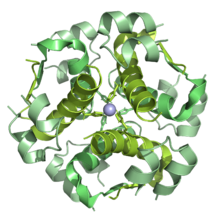 Archivo:Insulin lispro dodecamer 6NWV