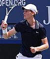 Jannik Sinner (2024 US Open) 04 (cropped)