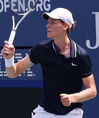 Jannik Sinner (2024 US Open) 04 (cropped).jpg