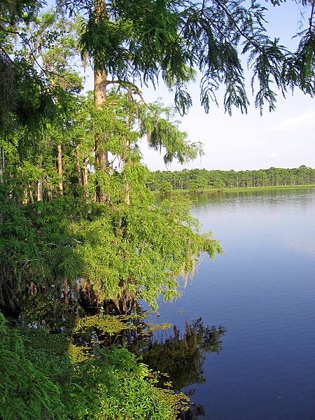 LABayou