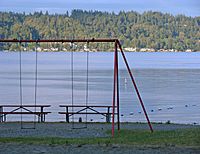 Archivo:Lake Sammamish - Swing (635521538)