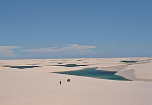 Archivo:Lencois Maranhenses 8