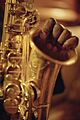 Maceo Parker Saxophone