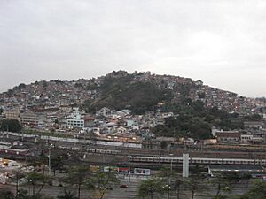 Archivo:Mangueira