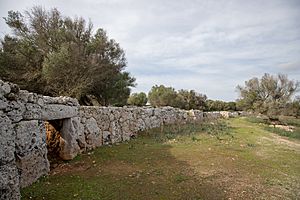 Archivo:Murada de Son Catlar