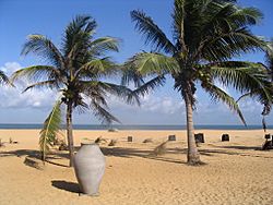 Archivo:Negombo Beach, Sri Lanka