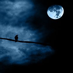 Archivo:Noche de luna llena - Full moon night