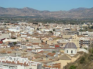 Panoramica huerta.JPG