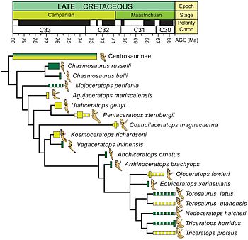 Archivo:Phylogenetic relationships of Utahceratops gettyi and Kosmoceratops richardsoni within Ceratopsidae
