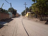 Archivo:Pineda