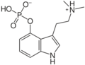 Psilocybin, Kekulé, skeletal formula of canonical psilocybin