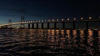 Archivo:Puente Rosario-Victoria (anochecer)