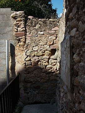 Restes de la muralla carlista de Soneixa.JPG