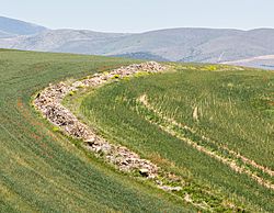 Augustóbriga (Muro de Ágreda) para Niños