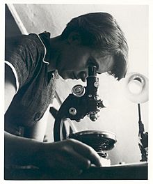 Rosalind Franklin.jpg