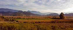 Sector El Carrizo de San Esteban (14516412603).jpg