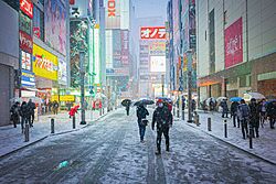 Snow in Akihabara 2022-01-06.jpg