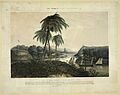 The U.S. naval expedition under Com..ore M.C. Perry, ascending the Tuspan River ; destroying the forts, and taking possesion (sic) of the port of Tuspan (...) - painted by H. Walke L.U.S.N. LCCN98516044