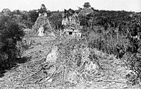 Archivo:Tikal1882