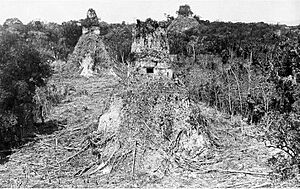 Archivo:Tikal1882
