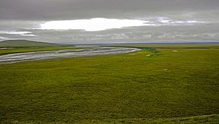 Tundra and Firth River delta from Engigstciak.jpg
