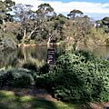 Wittunga Botanic Garden3