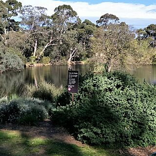 Wittunga Botanic Garden3.jpg
