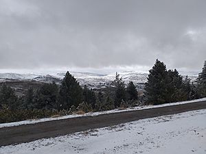 Archivo:2022-03-06 Sierra de Gúdar nevada 03