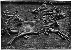Assurbanipal op jacht.jpg