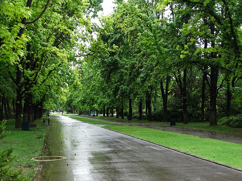 Avenida principal del cementerio